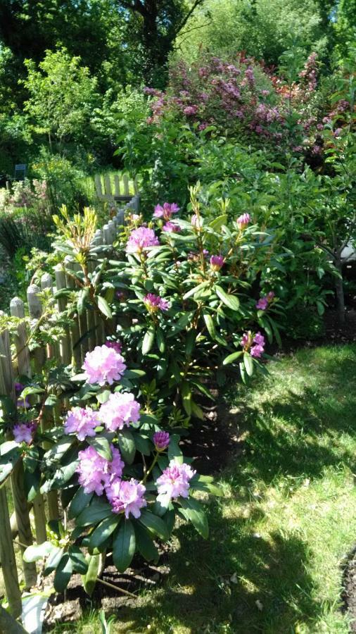 Les Muscaris Bed & Breakfast Le Minihic-sur-Rance Exterior photo